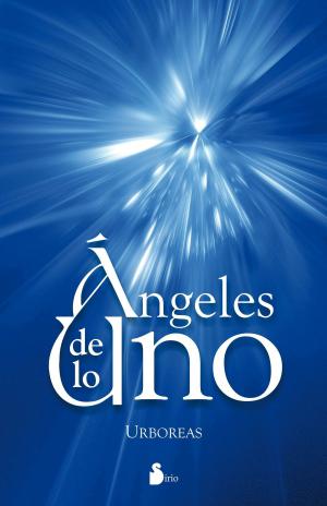 Cover of the book Ángeles de lo uno by Dmitriy Kushnir