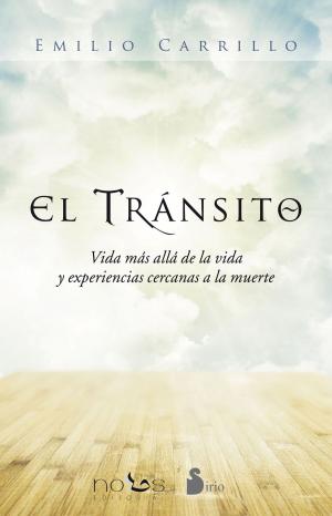 Cover of the book El tránsito by Moshe Feldenkrais