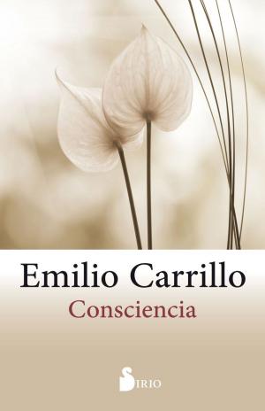 Cover of the book Consciencia by Stanley Rosenberg