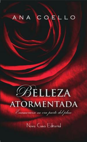 Book cover of Belleza atormentada