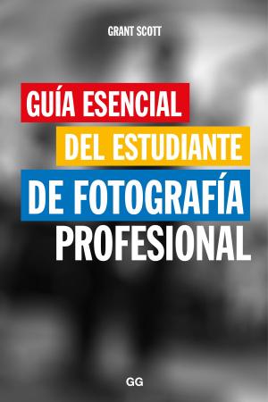 Cover of the book Guía esencial del estudiante de fotografía profesional by Steven Holl