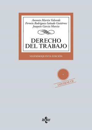 Cover of the book Derecho del Trabajo by Gaizka Fernández Soldevilla, José Luis de la Granja Sainz