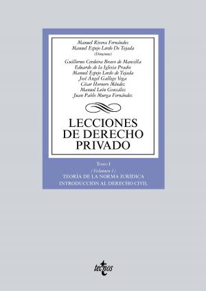 Cover of the book Lecciones de Derecho privado by Pilar Nuñez-Cortés Contreras, José Fernando Lousada Arochena