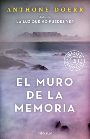 Cover of the book El muro de la memoria by Virginie Despentes