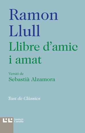 Cover of the book Llibre d'amic e amat by Mary Ann Bernal