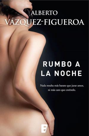 Cover of the book Rumbo a la noche by María Frisa