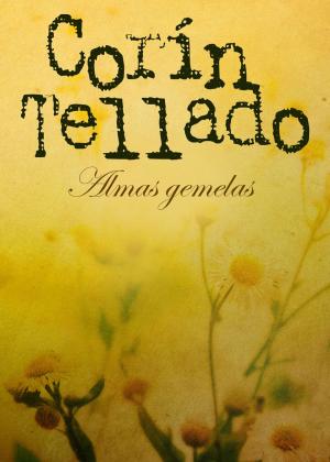 Cover of the book Almas gemelas by Jonaira Campagnuolo