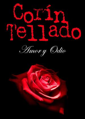 Cover of the book Amor y odio by Patricia Geller