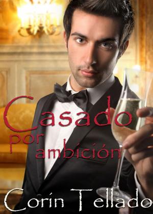 Cover of the book Casado por ambición by Fernando Jiménez del Oso