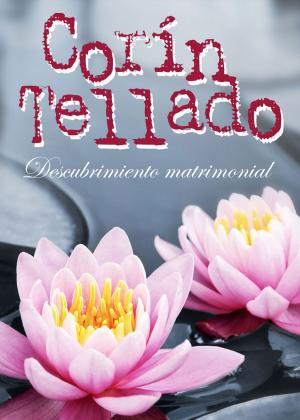 Cover of the book Descubrimiento matrimonial by José Antonio Madrigal Hornos