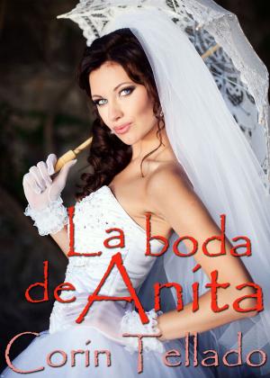 Cover of the book La boda de Anita by Guillermo Martínez