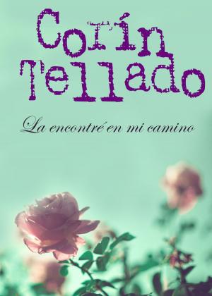 Cover of the book La encontré en mi camino by Andrés Pérez Ortega
