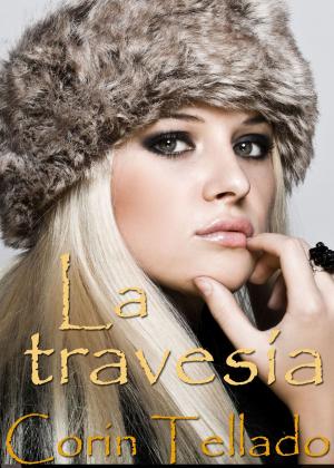 Cover of the book La travesía by Jonaira Campagnuolo