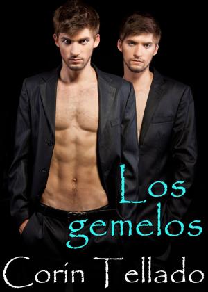 Cover of the book Los gemelos by Juan Bonilla