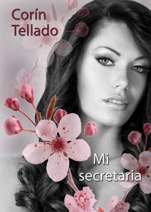 Cover of the book Mi secretaria by Benito Pérez Galdós