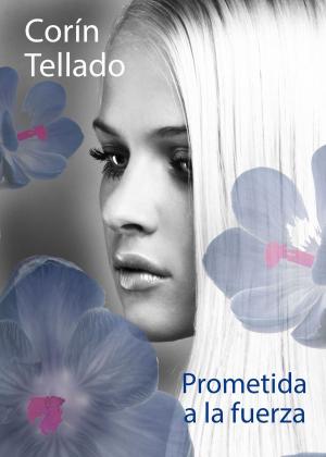 Cover of the book Prometida a la fuerza by Geronimo Stilton
