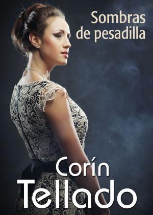 Cover of the book Sombras de pesadilla by Care Santos