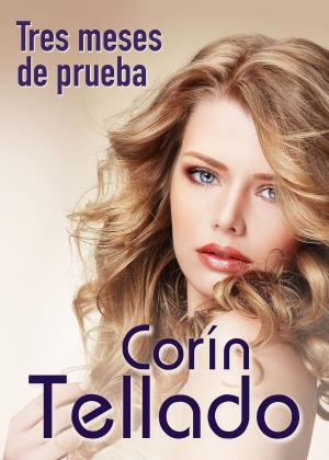 Cover of the book Tres meses de prueba by Elizabeth Carlos