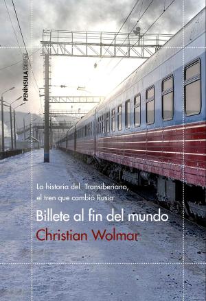Book cover of Billete al fin del mundo
