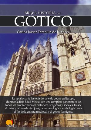 Cover of the book Breve historia del Gótico by Luis E. Íñigo Fernández