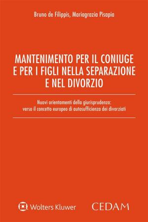Cover of the book Mantenimento per il coniuge e per i figli nella separazione e nel divorzio by MOLFESE GIUSEPPE, MOLFESE ALESSANDRA