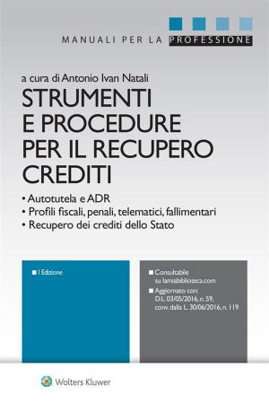 Cover of the book Strumenti e procedure per il recupero crediti by Marco Libanora