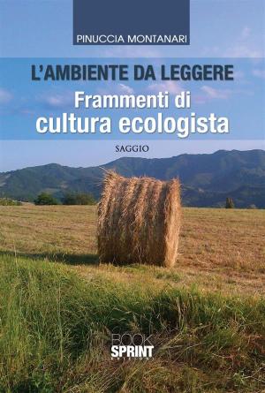 Cover of the book L'ambiente da leggere by Jacques Sauvage