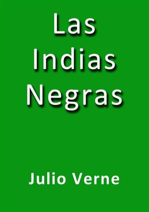 Cover of the book Las indias negras by Julio Verne