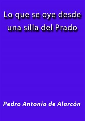 Cover of the book Lo que se oye desde una silla del prado by Pedro Antonio de Alarcón