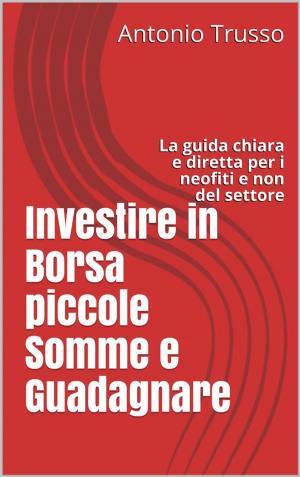 Cover of the book Investire in Borsa piccole Somme e Guadagnare: La guida chiara e diretta per i neofiti e non del settore by Dennis Preston