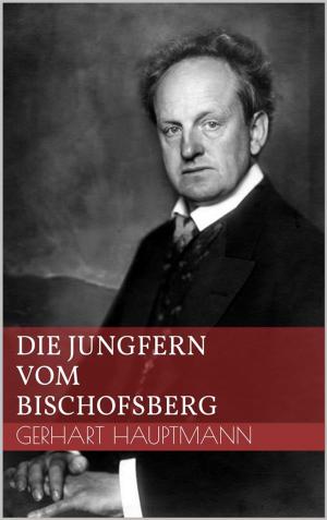 Cover of the book Die Jungfern vom Bischofsberg by Robert Louis Stevenson