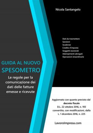 Cover of Guida al nuovo spesometro