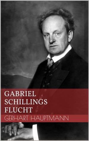Cover of the book Gabriel Schillings Flucht by Ernst Theodor Amadeus Hoffmann