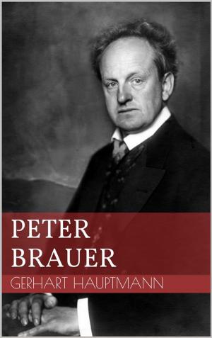 Cover of the book Peter Brauer by Ernst Theodor Amadeus Hoffmann