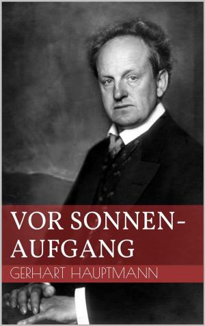 Cover of the book Vor Sonnenaufgang by Ernst Theodor Amadeus Hoffmann