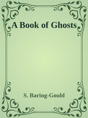 Cover of the book A Book of Ghosts by Liz McKeown