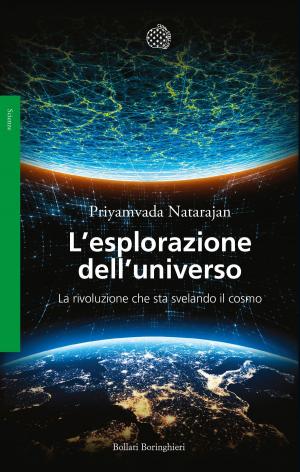 Cover of the book L’esplorazione dell’universo by Remco Sikkel