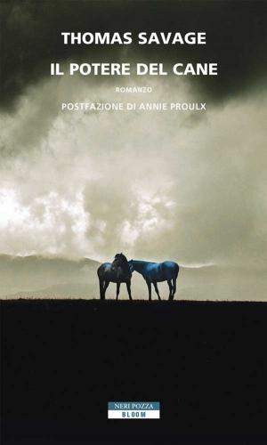Cover of the book Il potere del cane by Julian Fellowes