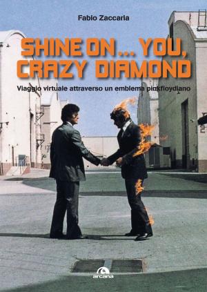 Cover of the book Shine on…you, crazy diamond by Simone Dotto