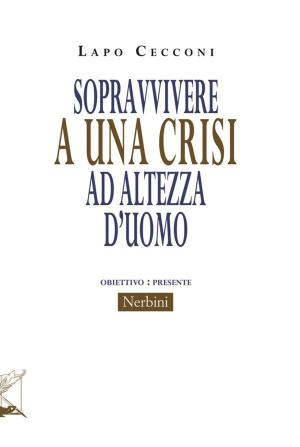 Cover of the book Sopravvivere a una crisi ad altezza d'uomo by Montserrat Cabrerizo Elgueta