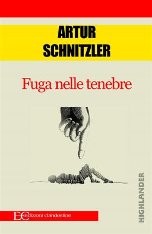 Cover of Fuga nelle tenebre