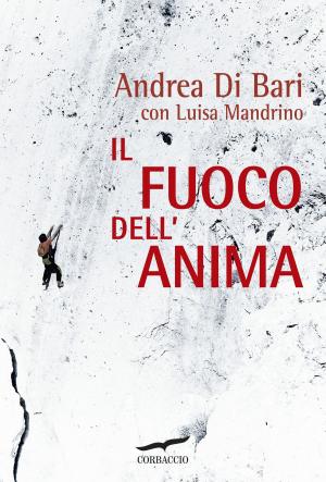 Cover of the book Il fuoco dell'anima by Joe Simpson