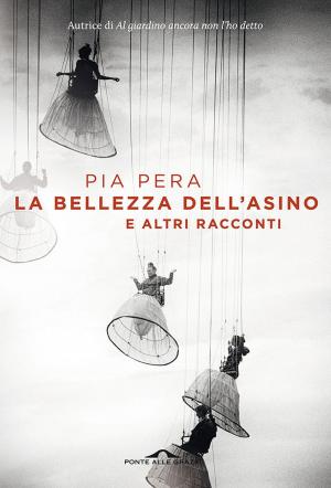 Cover of the book La bellezza dell'asino by Rebecca Solnit