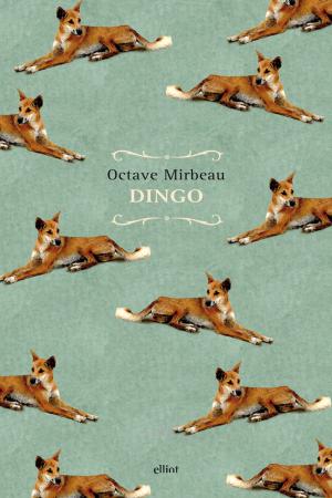 Book cover of Dingo