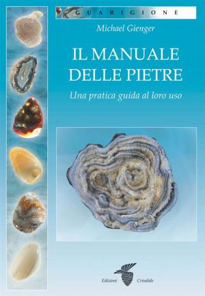 Cover of the book Il manuale delle pietre by Steve Rother