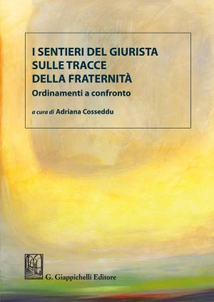 Cover of the book I sentieri del giurista sulle tracce della fraternità by Michele Gerardo, Adolfo Mutarelli