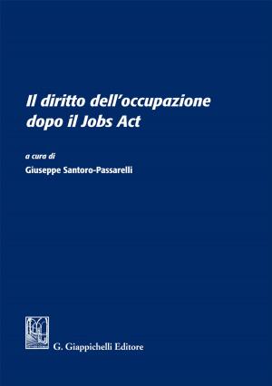 Cover of the book Il diritto dell'occupazione dopo il Jobs Act by Morello Enrico