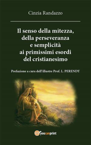 Cover of the book il senso della mitezza della perseveranza e semplicita alle origini del cristianesimo by Davide Ferrari