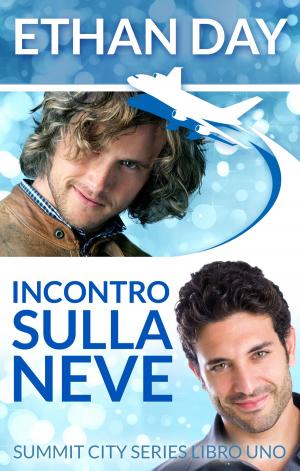 Book cover of Incontro sulla neve