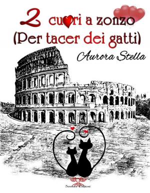 Book cover of Due cuori a Zonzo